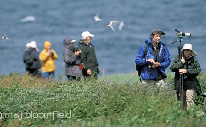 Older generation enjoying birdwatching