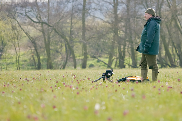 Photographing a wildflowers in Oxforshire