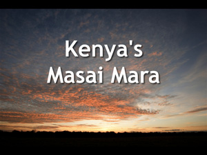 Opening slide of our talk on Kenya's Masai Mara