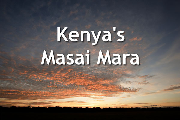 Opening slide from our Kenya's Masai Mara talk