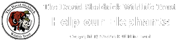 Help support The David Sheldrick Wildlife Trust our choosen charity